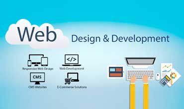 Web Design & Development